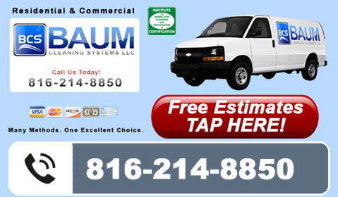 Baum Cleaning Systems